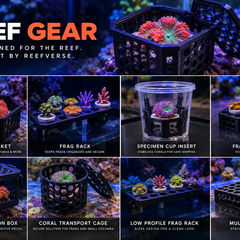Collection image for: Reef Gear